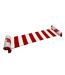 Liverpool FC Bar Scarf (Red/White) (One Size) - UTTA11663