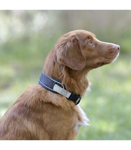 Weatherbeeta Explorer Dog Collar (Navy) (M) - UTWB1866