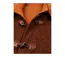 Manteau Polaire Grandes Tailles AXSLOVEN2M Marron/Orange (Axone)-3