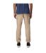 Mens Rapid Straight Leg Cargo Trousers Fossil Columbia-2