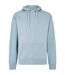 Sweat À Capuche Adulte Bleu Ciel Kustom Kit-1