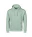 Unisex Adult Urban Hoodie Mint Tee Jays-1