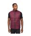 Doudoune Sans Manches Gattering Mve Homme Pourpre Crosshatch-1