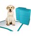 Pack of 5  Premium puppy training pads 6 one size sky blue Simple Solution