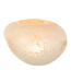 Vase Boule en Verre Sumina 13cm Beige-2