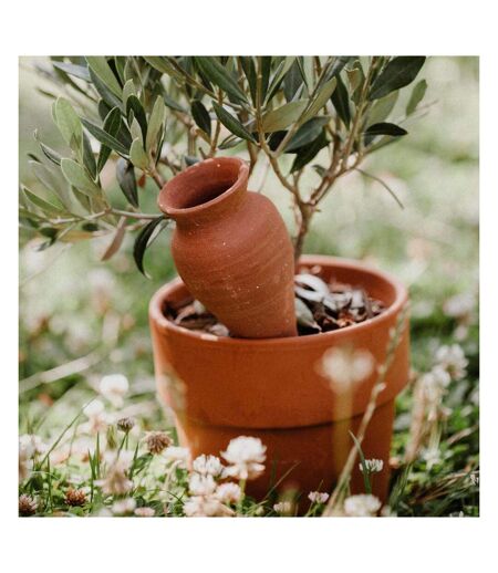 Ollas à planter en argile Cône