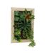 Cadre mural avec plante succulente artificielle 20 x 30 cm