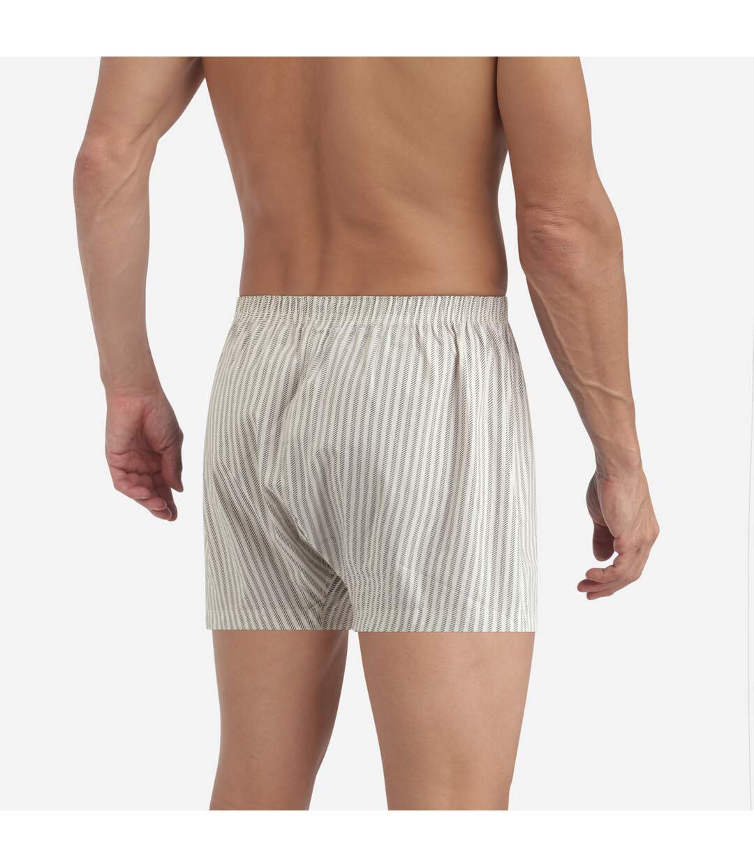 Boxer Coton Stretch-2