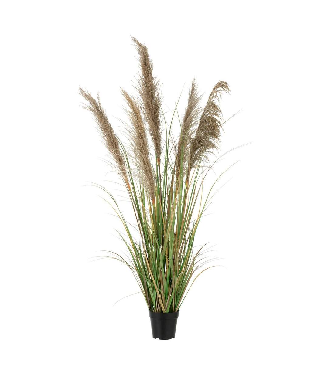 Herbe de Pampas Artificielle en Pot 5 Têtes 140cm Vert & Beige-1