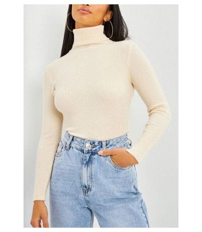 Pull col Roulé