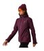 Blouson De Ski Torrek Blazen Femme Figue Dare 2B-1