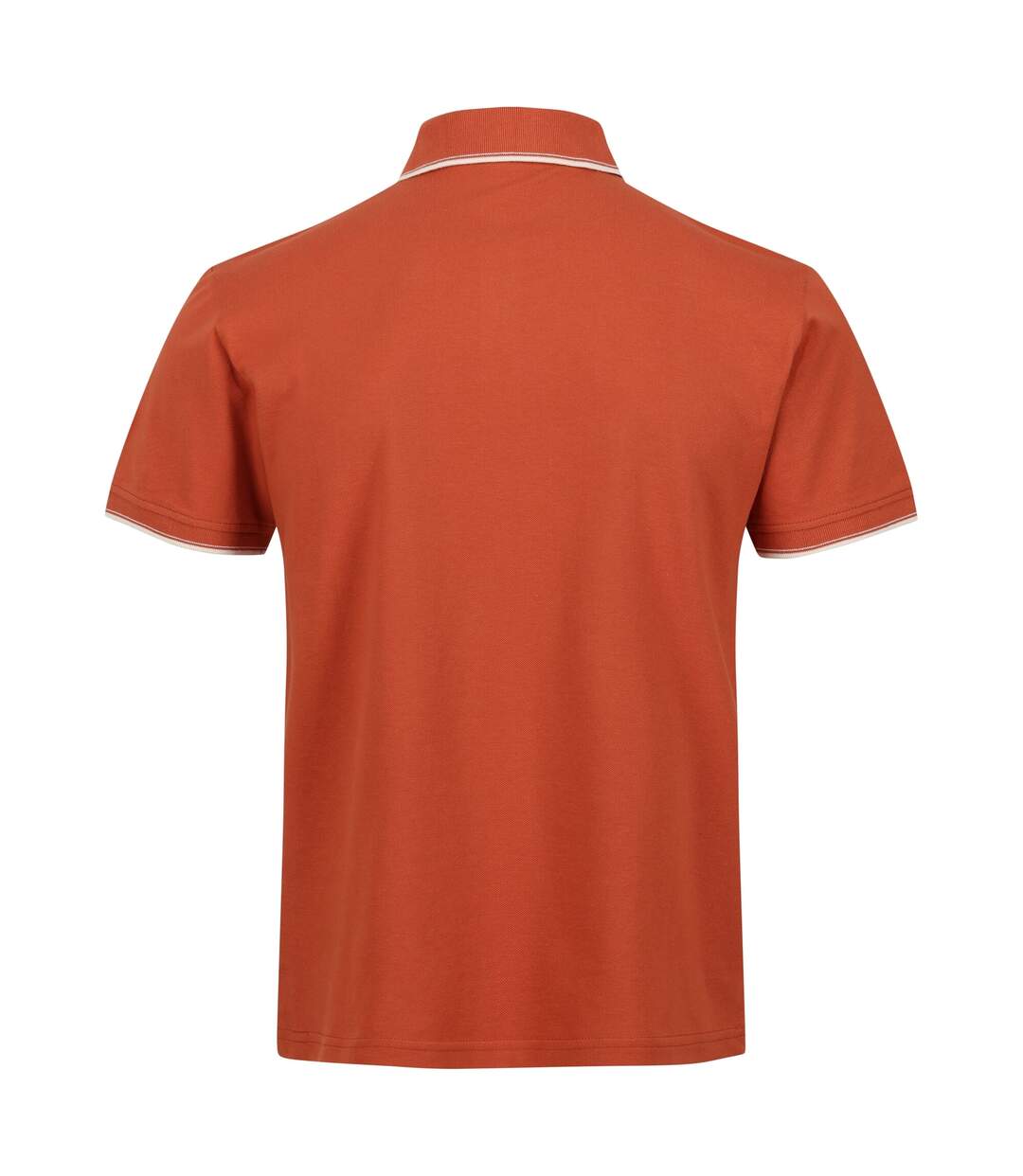 Polo tadeo homme terre cuite Regatta-2