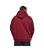 Sweat À Capuche Homme Bordeaux Urban Classics-2