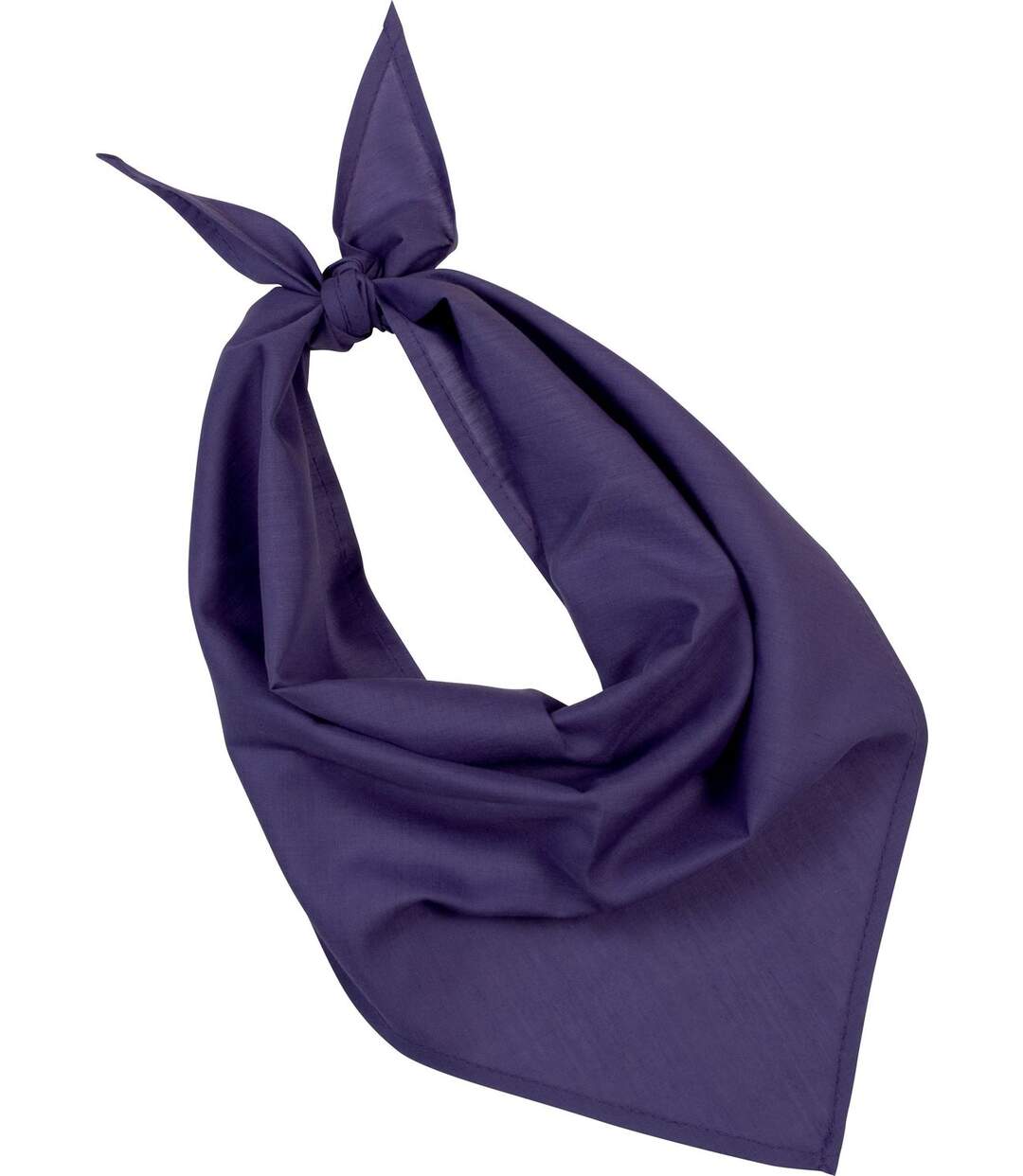 Lot de 10 bandanas fiesta - violet purple