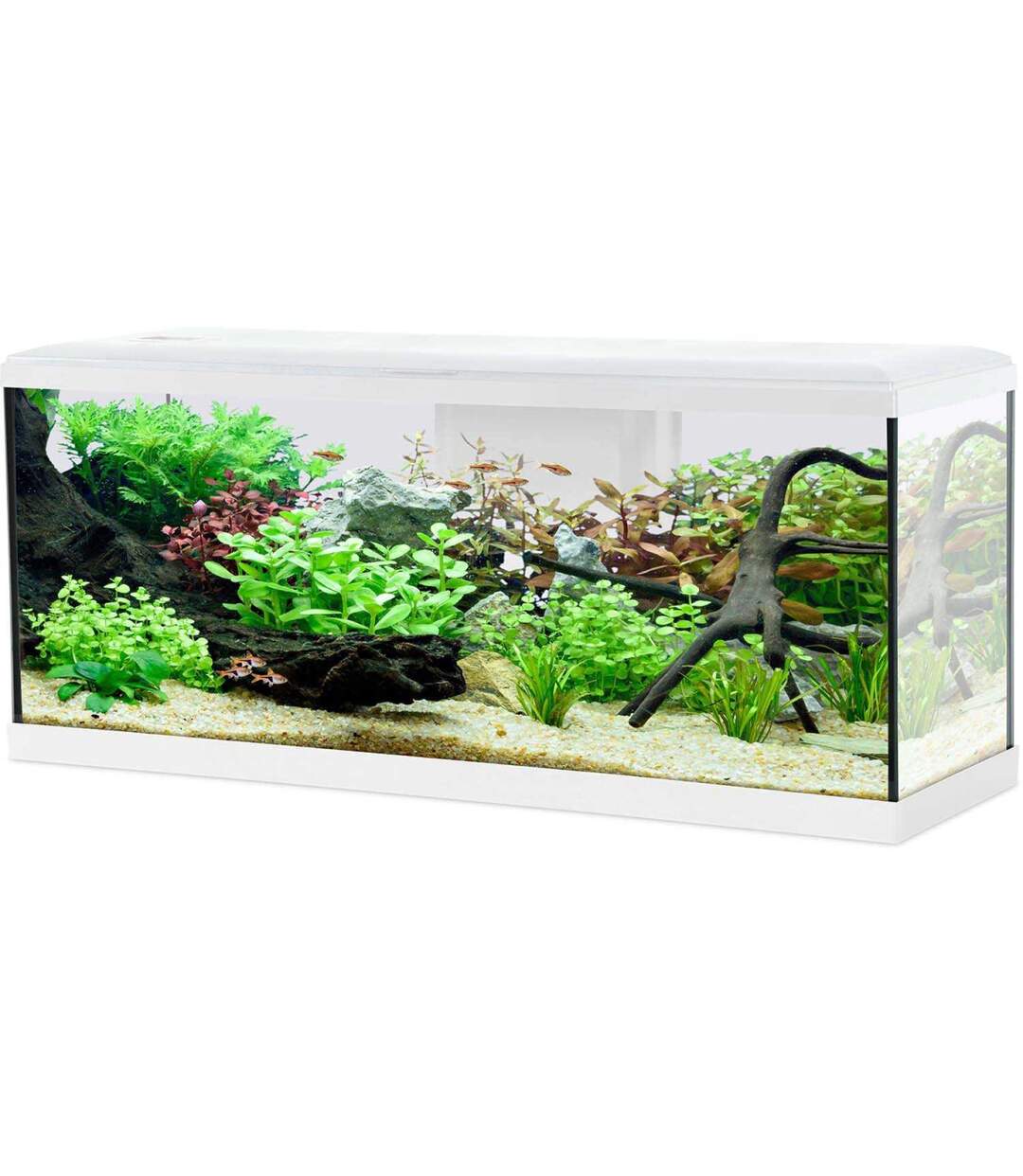 Kit aquarium Tana 120L