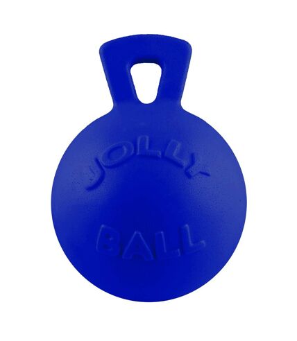 Jolly Pets Dual Jolly Ball (Blue) (8 inches) - UTTL248