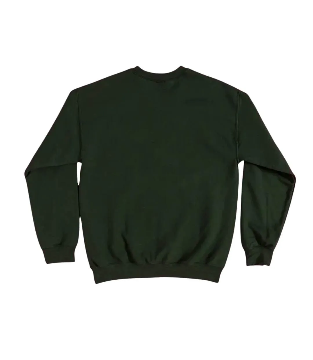 Sweat Shiz University Adulte Vert Wicked-2