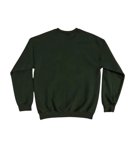 Sweat Shiz University Adulte Vert Wicked