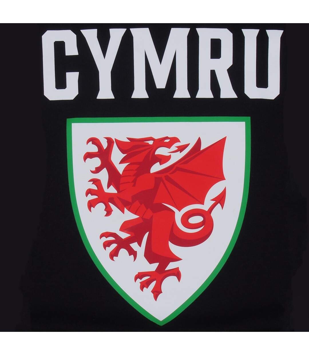 Mens Graphic Fleece Hoodie Black FA Wales-4