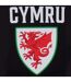 Mens Graphic Fleece Hoodie Black FA Wales-4