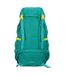 Mountain Warehouse Venture Knapsack (Green/Yellow) (One Size) - UTMW1248