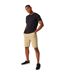 Mens Aldan Chino Shorts Oat Regatta-2