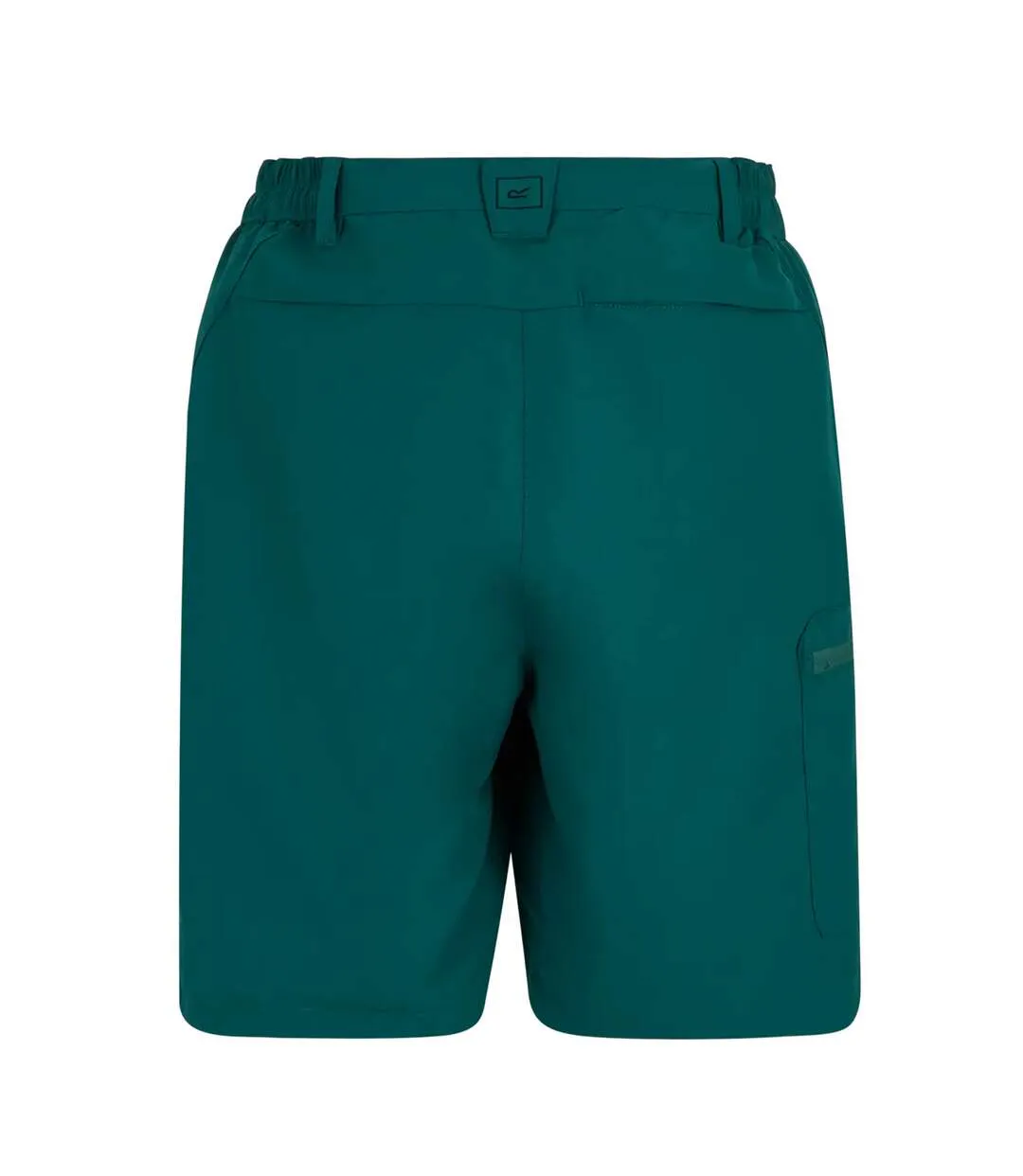 Womens/ladies Chaska Iii Walking Shorts Mediterranea Regatta-2