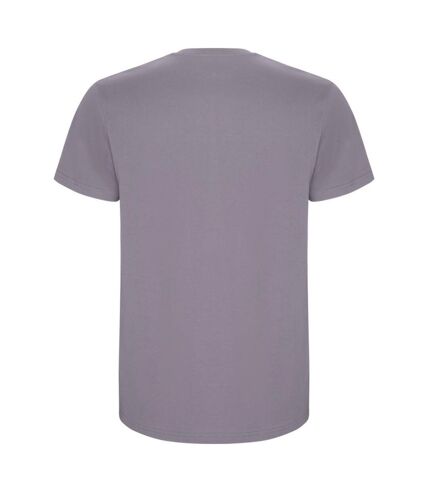 Roly - T-shirt STAFFORD - Homme (Lavande) - UTPF4347