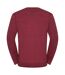 Collection Pullover À Col En V Homme Canneberge Marne Russell-2