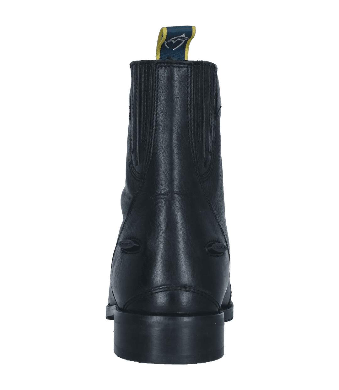 Moretta Womens/Ladies Viviana Zip Leather Paddock Boots (Black) - UTER668