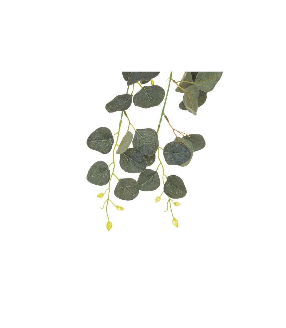 Tige Artificielle Eucalyptus Drew 80cm Vert-2