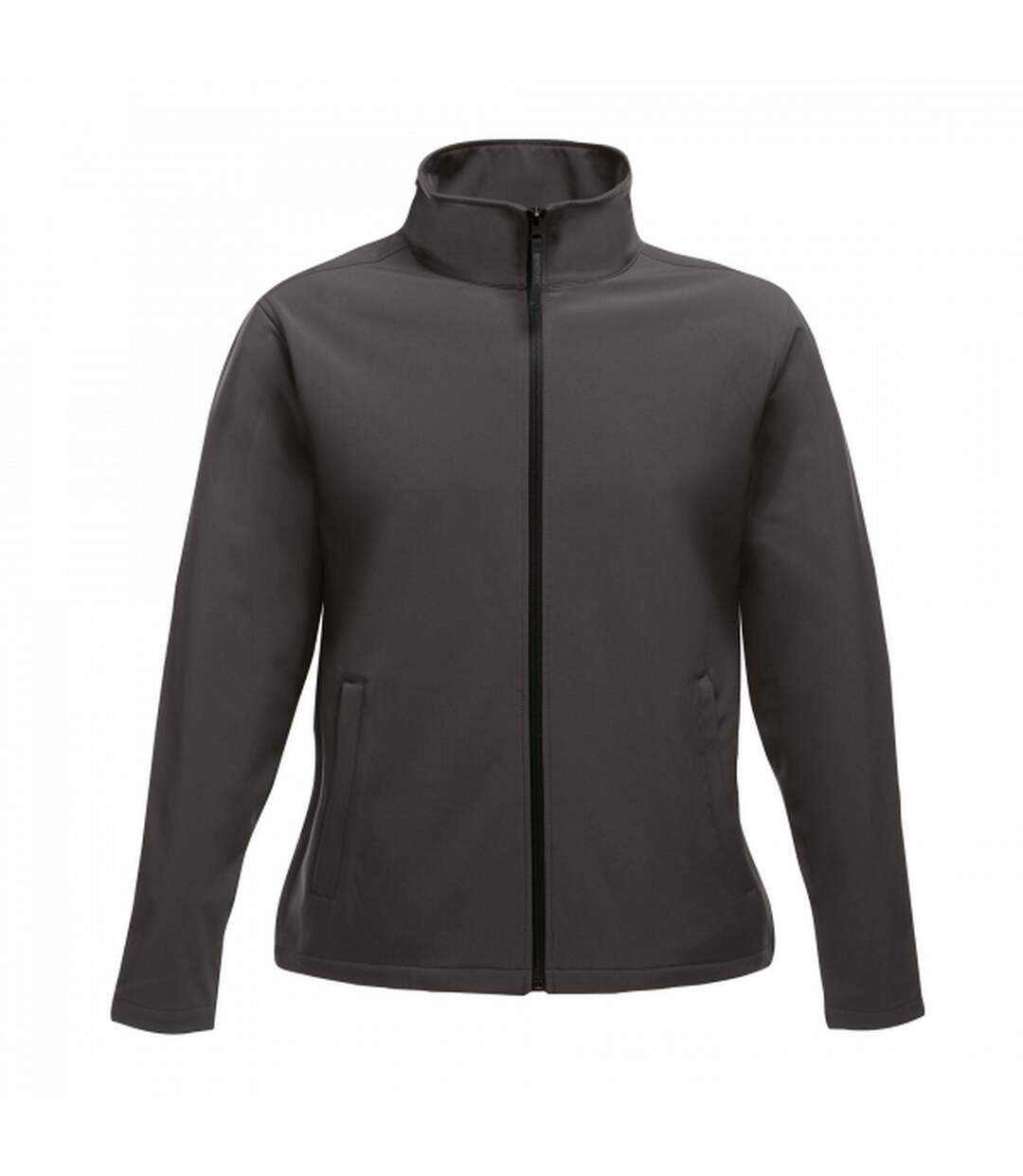 Regatta Womens/Ladies Ablaze Printable Softshell Jacket (Seal Grey/Black) - UTRG3561-1