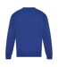 Unisex adult signature heavyweight sweatshirt bright royal Awdis-2