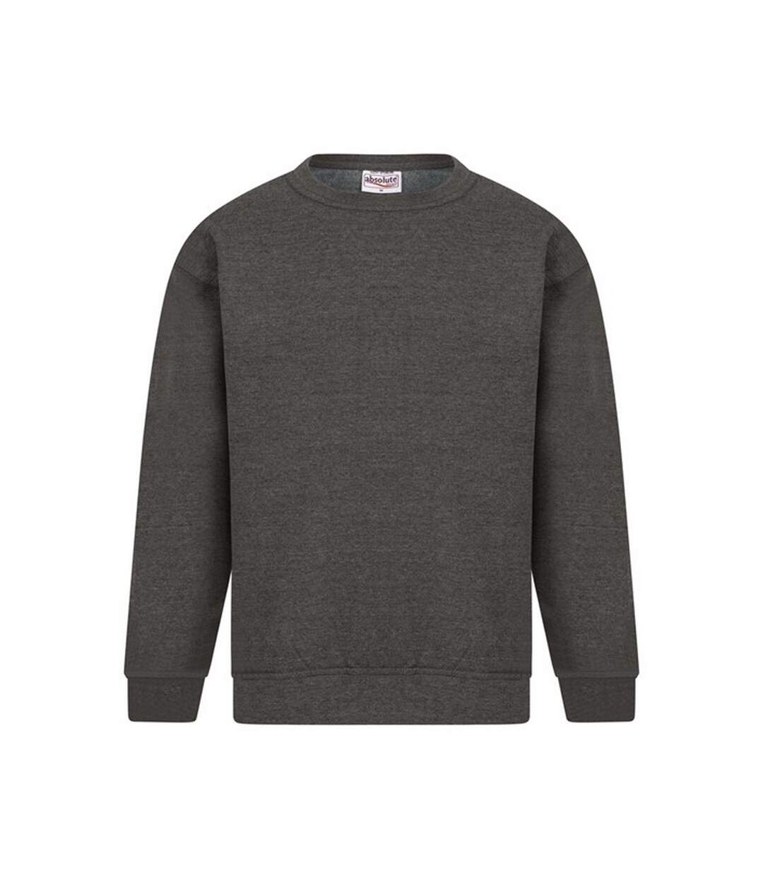 Absolute Apparel - Sweat-shirt STERLING - Homme (Charbon) - UTAB113