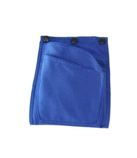 Complete Holster Azure Blue Mascot