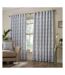 Horto eyelet curtains 90in x 54in blue Paoletti