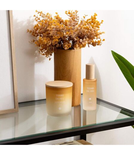 Spray d'Ambiance en Verre Sana 100ml Terre de Feu