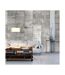 Papier Peint Gray Pigeon 50x1000cm-1