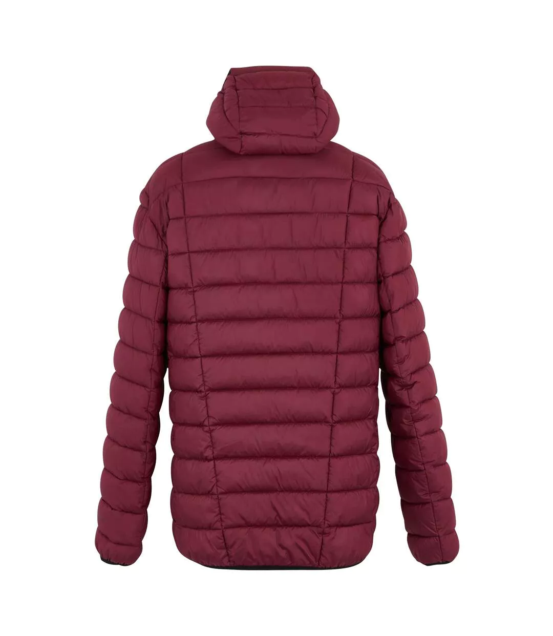 Doudoune Matelassée Asper Homme Pourpre Foncé Regatta-3