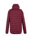 Doudoune Matelassée Asper Homme Pourpre Foncé Regatta-3