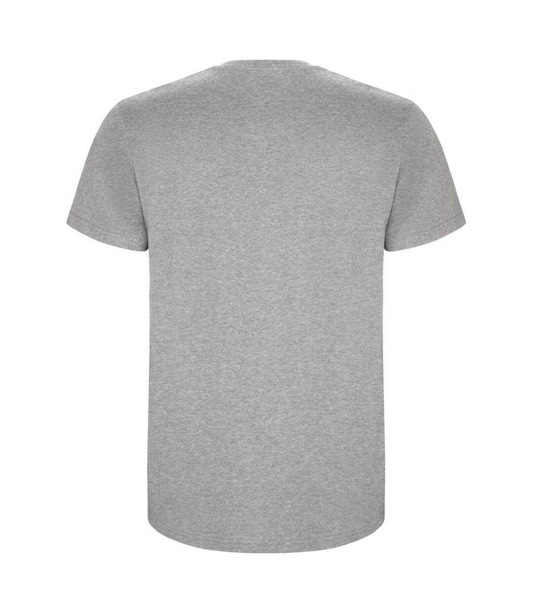 T-shirt stafford homme gris chiné Roly