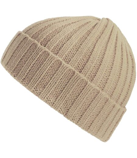 Atlantis Unisex Adult Shore Chunky Recycled Beanie (Beige) - UTAB616