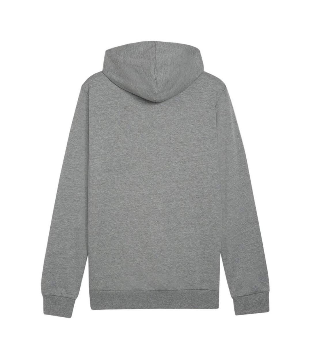 Sweat À Capuche Team Goal Homme Gris Puma-2
