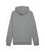 Sweat À Capuche Team Goal Homme Gris Puma-2