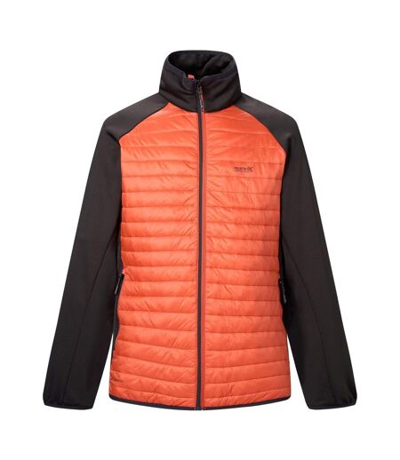 Mens Clumber Hybrid Jacket Rooibos Tea Black Regatta