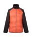 Mens Clumber Hybrid Jacket Rooibos Tea Black Regatta-2
