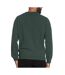 Pull vert foncé homme lacoste jardin - 3xl-2
