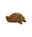 Groundsman Turtle Scraper Mat (Brown) (One Size)