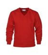 Absolute Apparel Mens V Neck Sweat (Red)