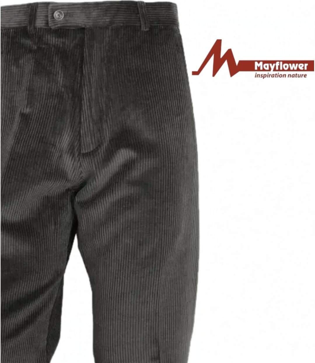 MAYFLOWER D373 — Pantalon velours extensible gris : confort stretch et taille haute-4